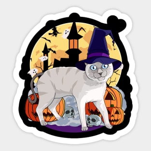 Siamese Cat Funny Halloween Witch Pumpkin Sticker